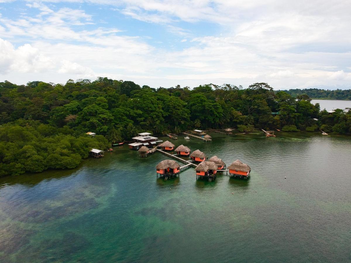 Eclypse De Mar Acqua Lodge Bastimentos Kültér fotó